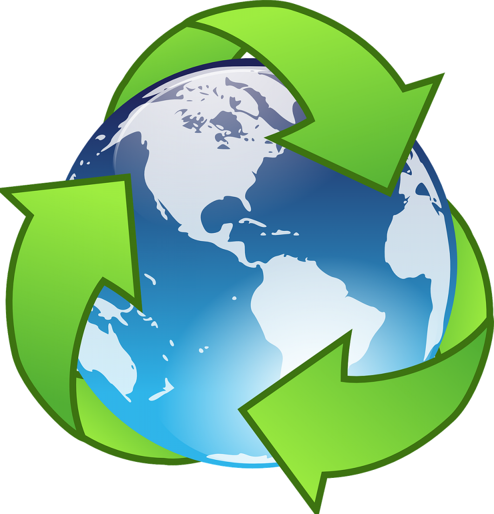 הפרדת פסולת ואיכות הסביבה- אילו פתרונות אקולוגיים קיימים לעסקים