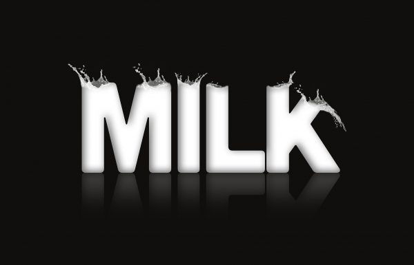 אחת ולתמיד – האם חלב וגבינות בריאים לגופנו?
