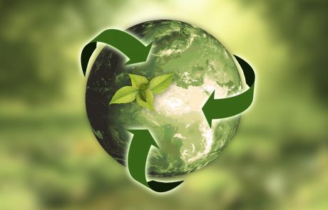 הפרדת פסולת ואיכות הסביבה: אילו פתרונות אקולוגיים קיימים לעסקים?